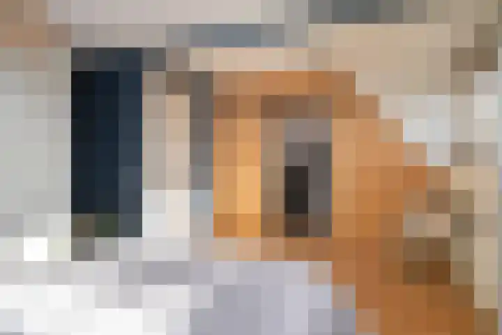 Erasmuslaan 62 Ridderkerk thumbnail 26