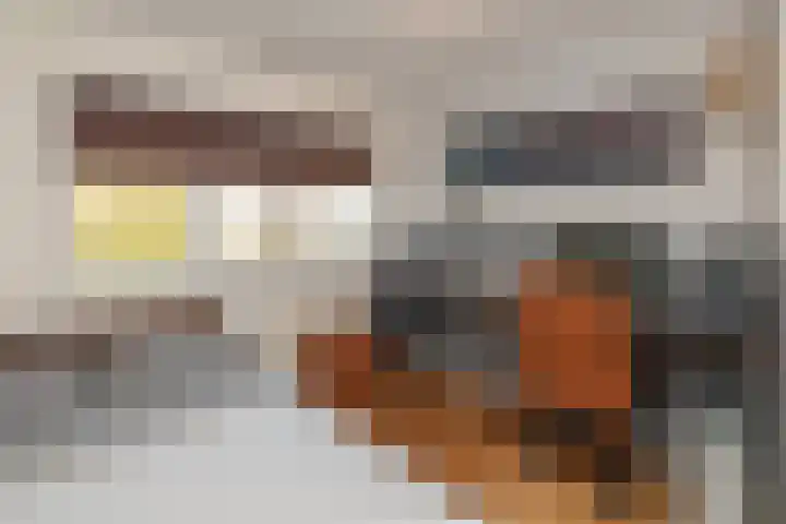 Erasmuslaan 62 Ridderkerk thumbnail 29