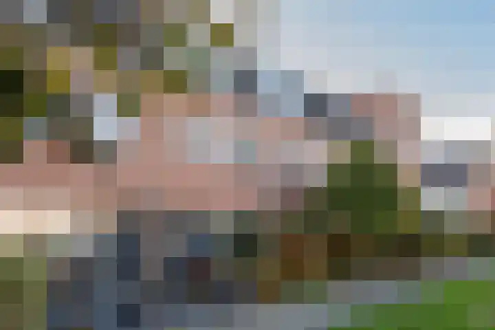 Erasmuslaan 62 Ridderkerk thumbnail 33
