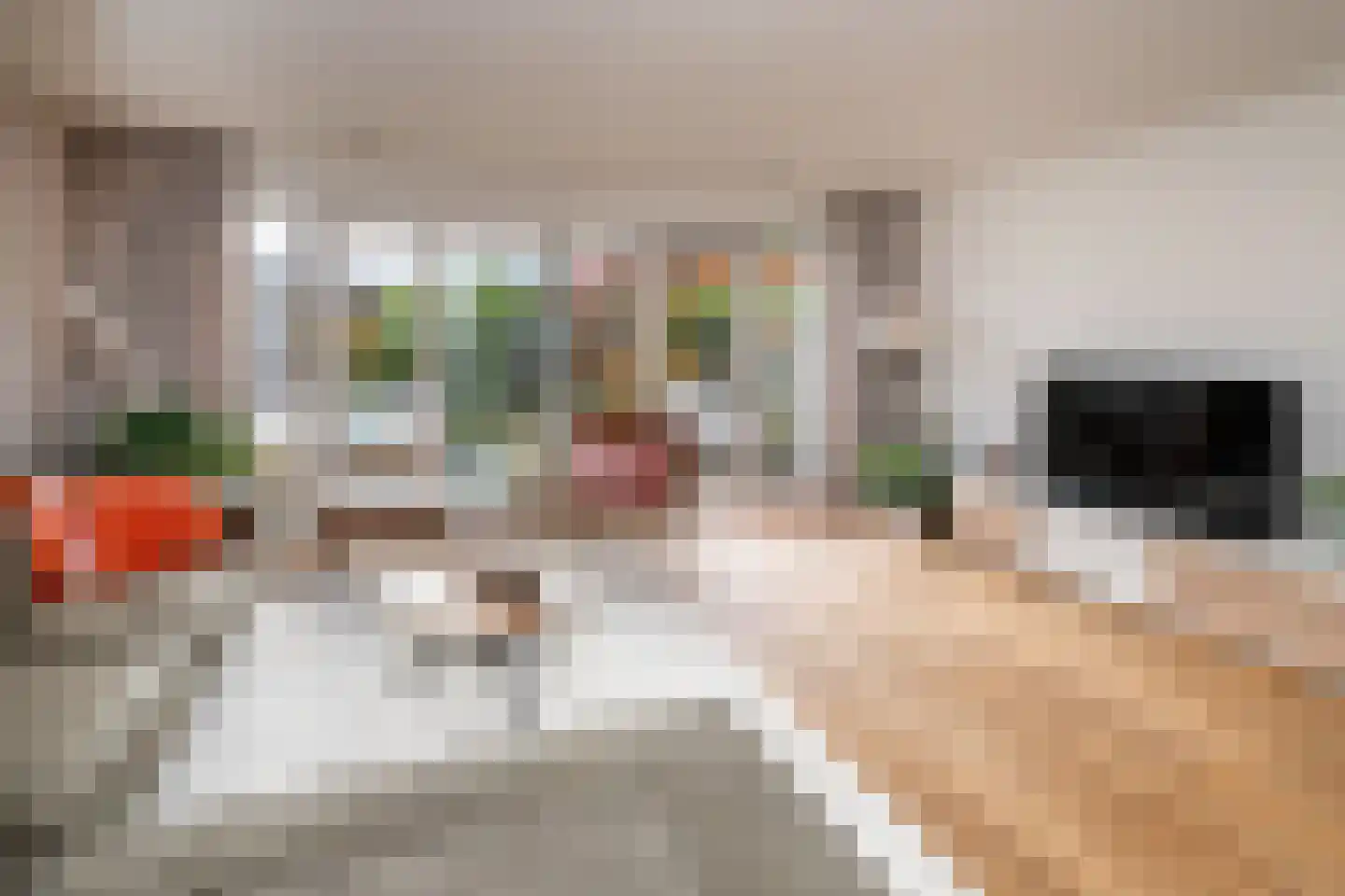 Erasmuslaan 62 Ridderkerk thumbnail 5