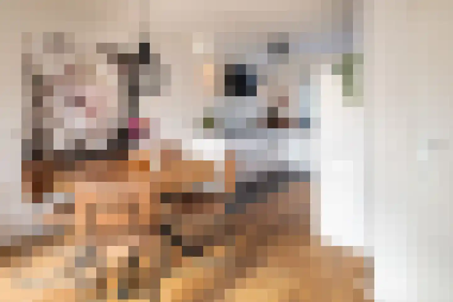 Erasmuslaan 62 Ridderkerk thumbnail 7