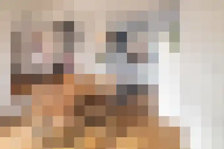 Erasmuslaan 62 Ridderkerk thumbnail 8