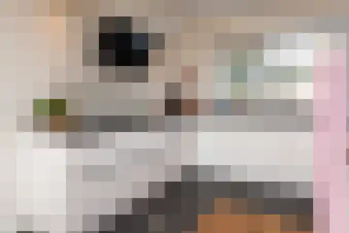 Erasmuslaan 62 Ridderkerk thumbnail 9