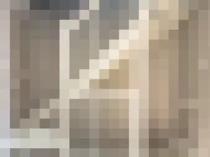 Erasmuslaan 66 Ridderkerk thumbnail 22