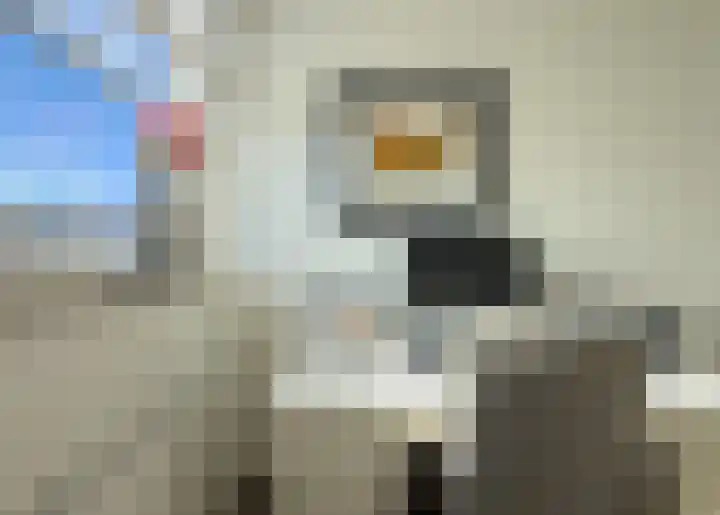 Erasmuslaan 66 Ridderkerk thumbnail 30