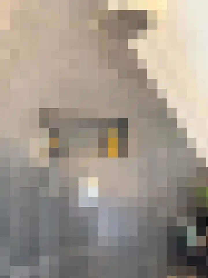 Erasmuslaan 66 Ridderkerk thumbnail 40