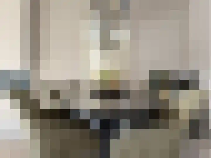 Erasmuslaan 66 Ridderkerk thumbnail 7