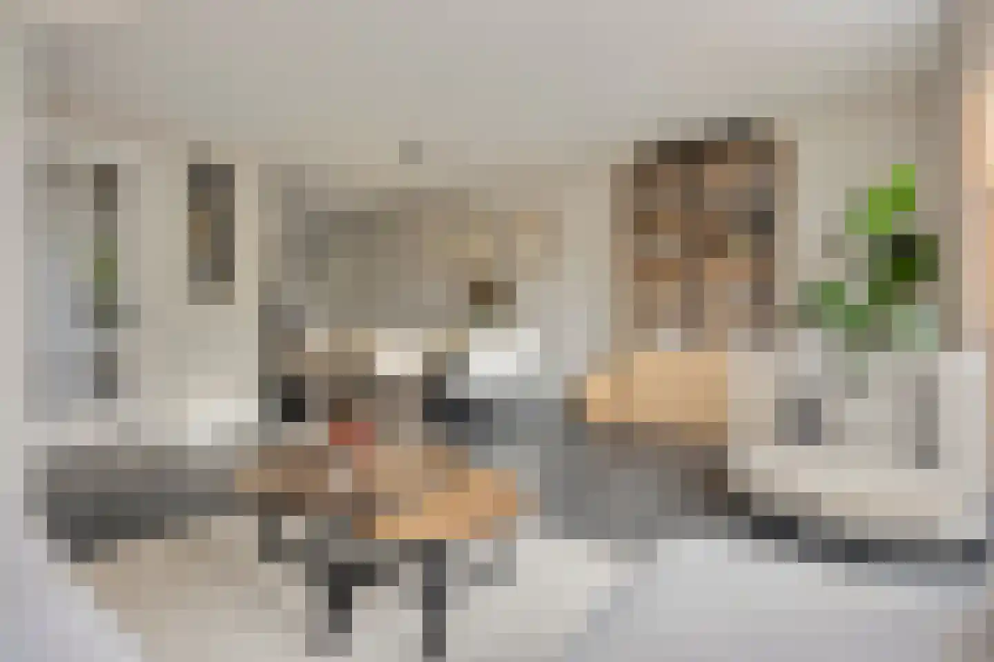 Erasmuslaan 73 Ridderkerk thumbnail 18