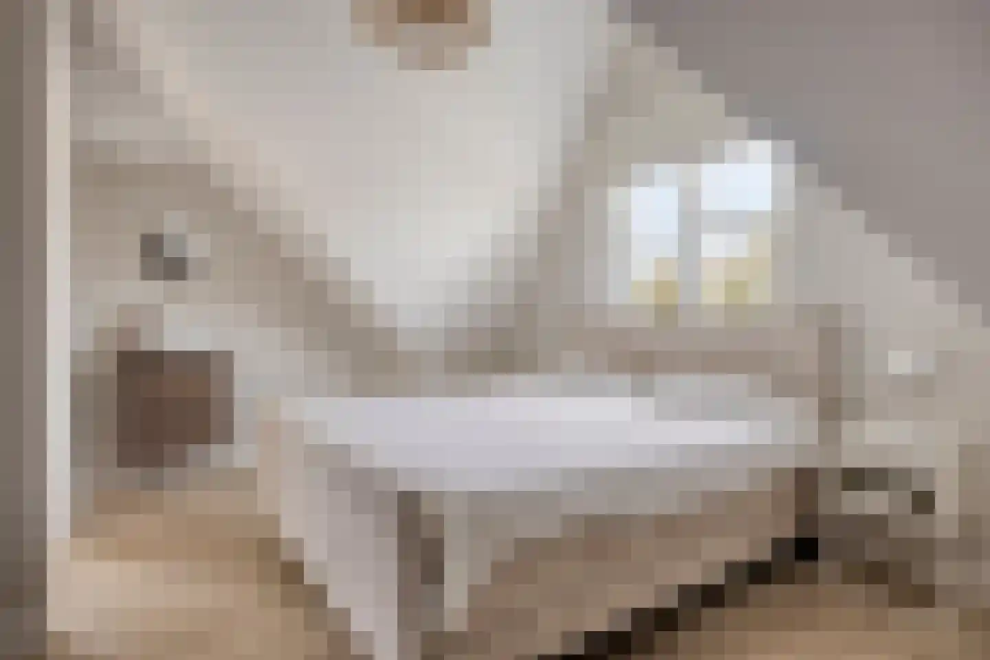 Erasmuslaan 73 Ridderkerk thumbnail 5
