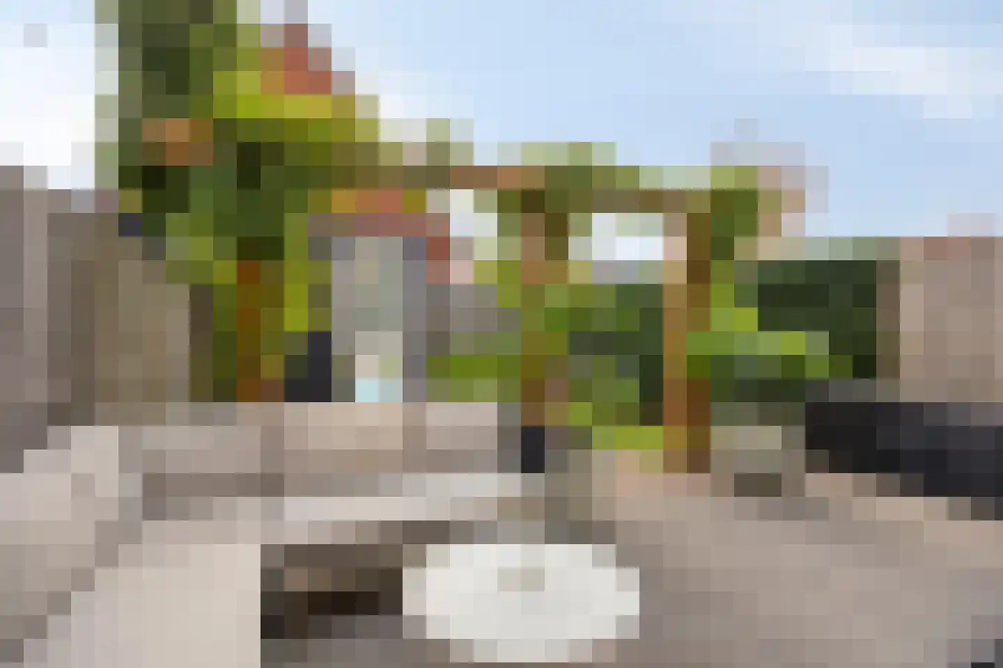 Erasmuslaan 73 Ridderkerk thumbnail 57
