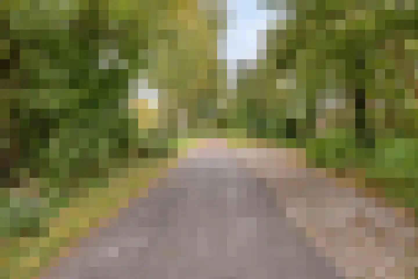 Erasmuslaan 73 Ridderkerk thumbnail 68