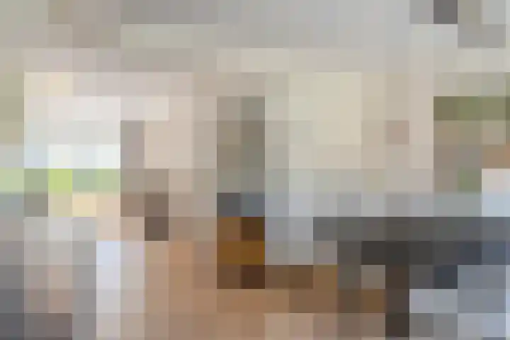 Erasmuslaan 8 Berkel-Enschot thumbnail 12