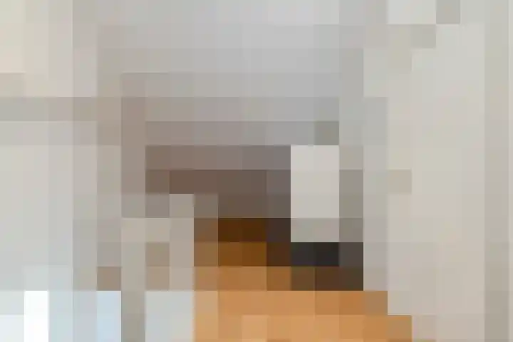 Erasmuslaan 8 Berkel-Enschot thumbnail 33