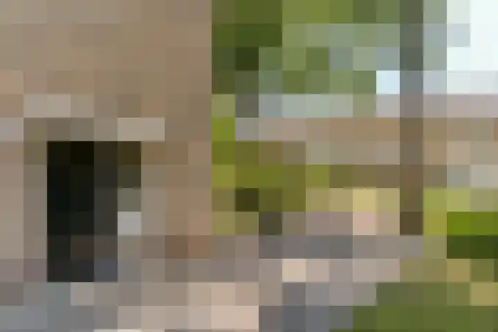 Erasmuslaan 8 Berkel-Enschot thumbnail 4