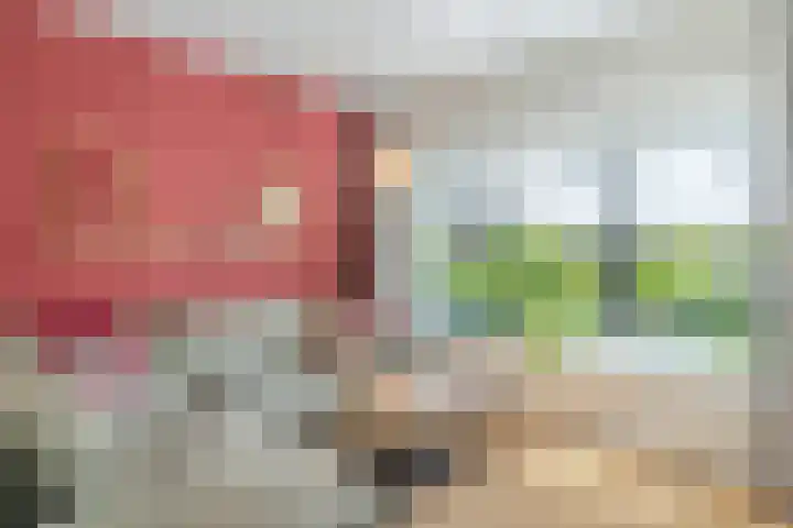 Erasmuslaan 8 Berkel-Enschot thumbnail 9