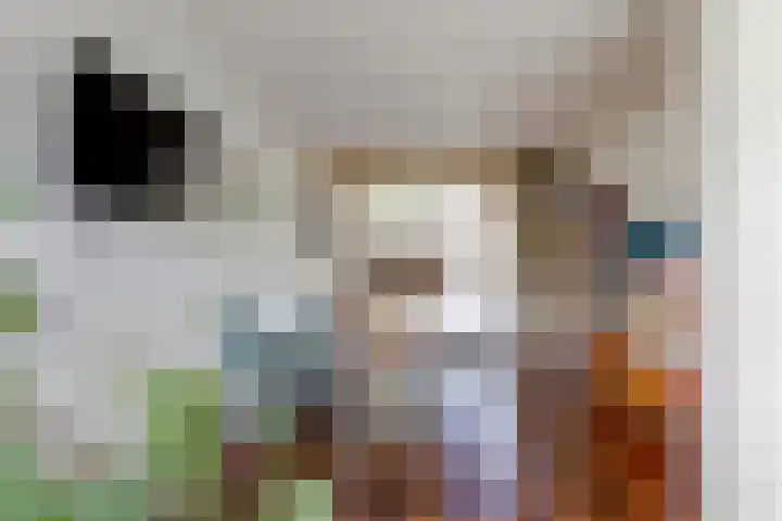 Erasmuslaan 8 Zwolle thumbnail 10
