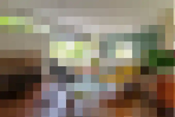 Erasmuslaan 8 Zwolle thumbnail 12
