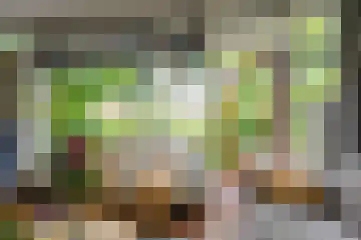 Erasmuslaan 8 Zwolle thumbnail 13