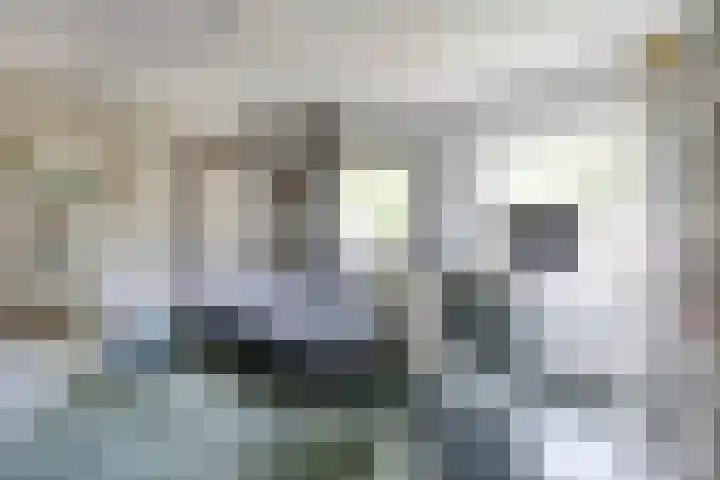 Erasmuslaan 8 Zwolle thumbnail 22
