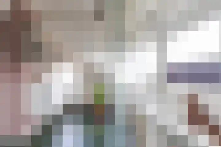 Erasmuslaan 8 Zwolle thumbnail 30