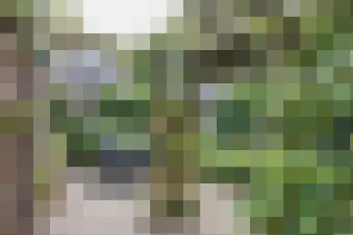 Erasmuslaan 8 Zwolle thumbnail 36