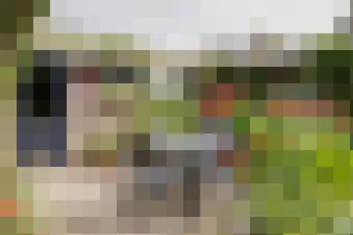 Erasmuslaan 8 Zwolle thumbnail 38
