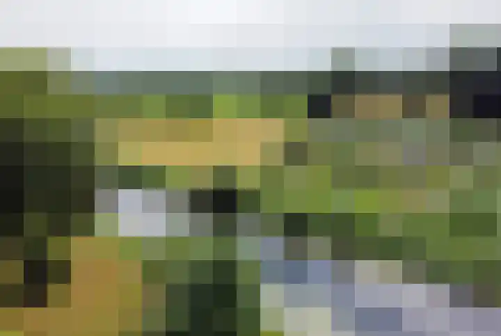 Erasmuslaan 8 Zwolle thumbnail 39
