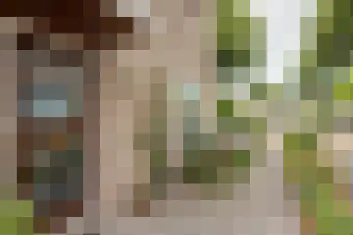 Erasmuslaan 8 Zwolle thumbnail 4