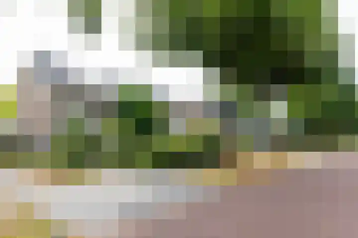 Erasmuslaan 8 Zwolle thumbnail 5