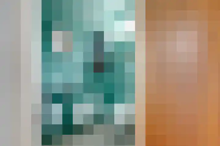 Erasmuslaan 8 Zwolle thumbnail 7