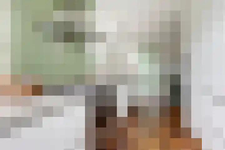 Erasmuslaan 8 Zwolle thumbnail 9