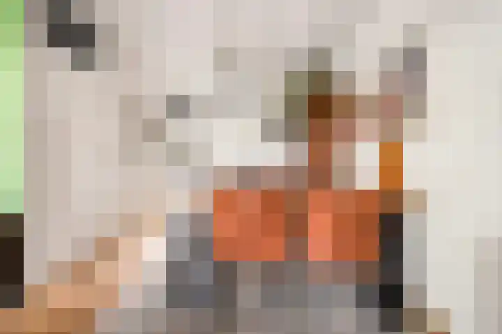 Erasmuslaan 88 Zwolle thumbnail 12