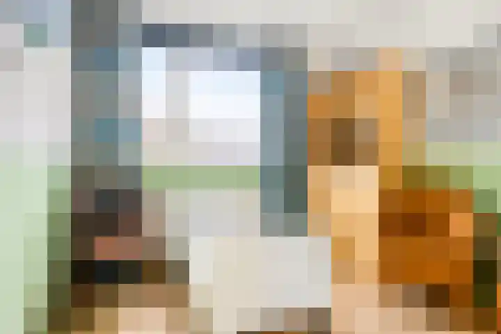 Erasmuslaan 88 Zwolle thumbnail 18