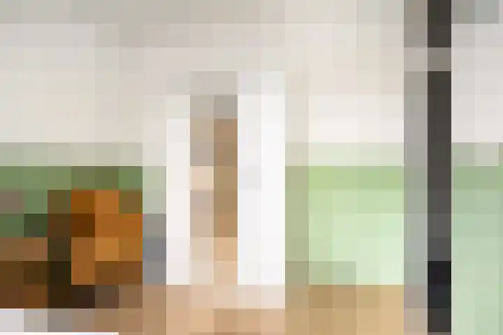 Erasmuslaan 88 Zwolle thumbnail 19