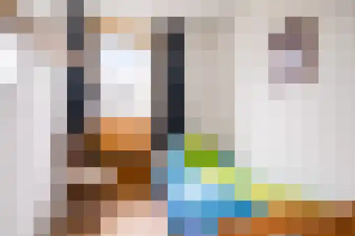 Erasmuslaan 88 Zwolle thumbnail 20