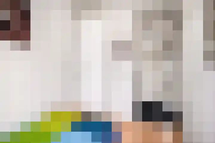 Erasmuslaan 88 Zwolle thumbnail 21