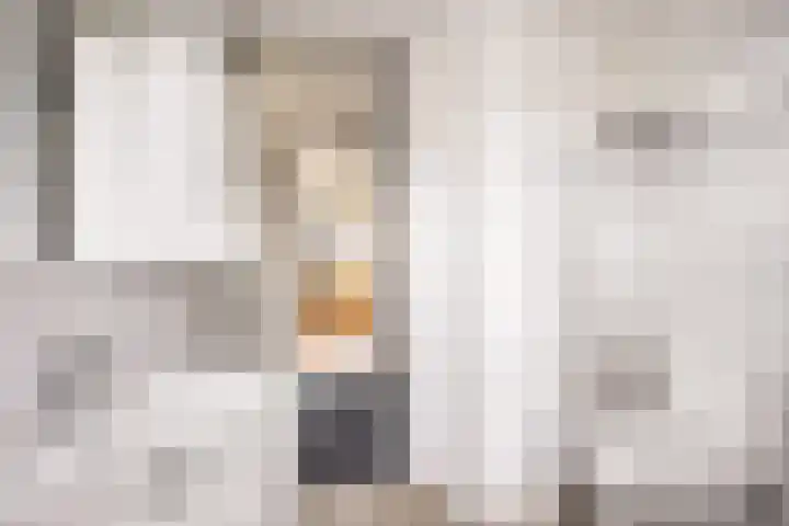 Erasmuslaan 88 Zwolle thumbnail 22