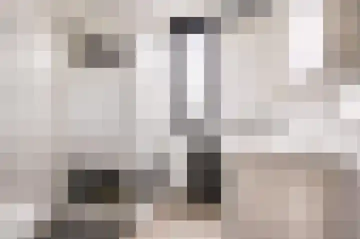 Erasmuslaan 88 Zwolle thumbnail 23