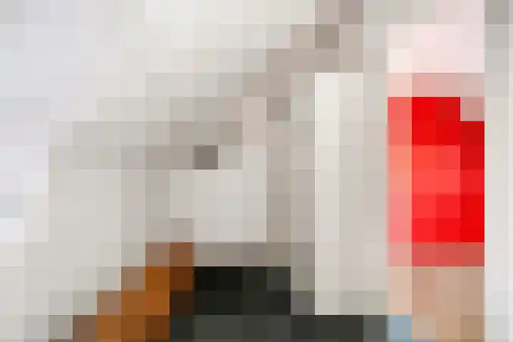Erasmuslaan 88 Zwolle thumbnail 25