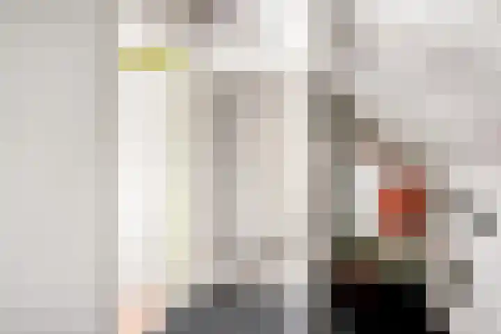 Erasmuslaan 88 Zwolle thumbnail 26