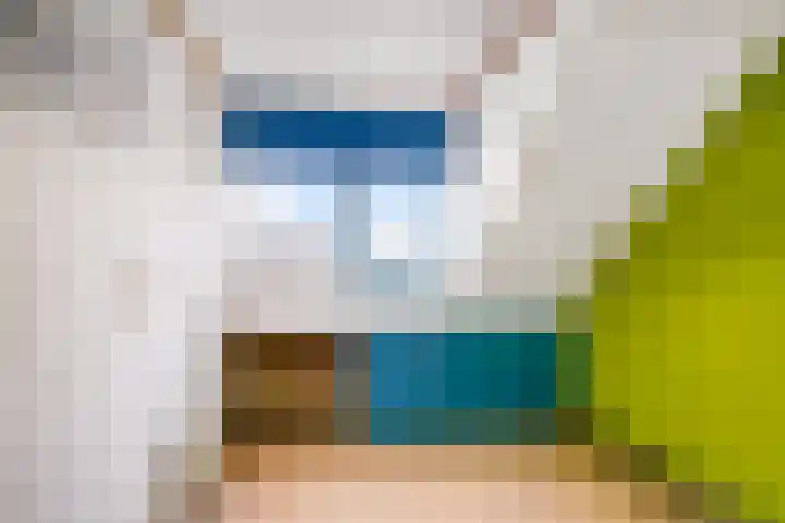 Erasmuslaan 88 Zwolle thumbnail 30