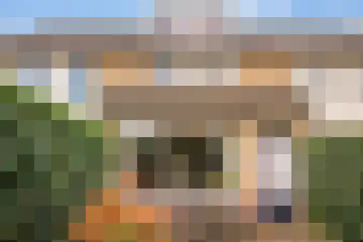 Erasmuslaan 88 Zwolle thumbnail 31
