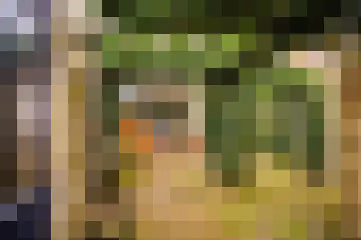 Erasmuslaan 88 Zwolle thumbnail 32