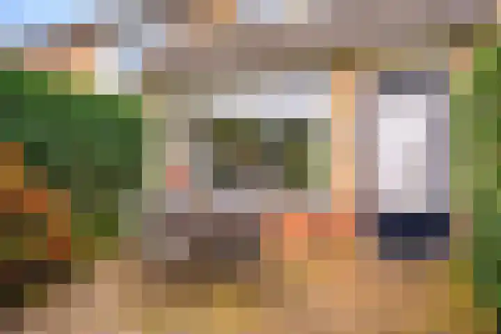 Erasmuslaan 88 Zwolle thumbnail 34