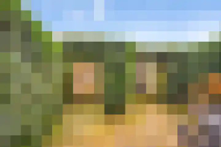 Erasmuslaan 88 Zwolle thumbnail 35