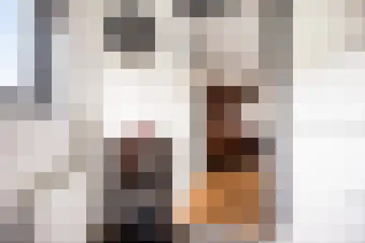 Erasmuslaan 88 Zwolle thumbnail 7