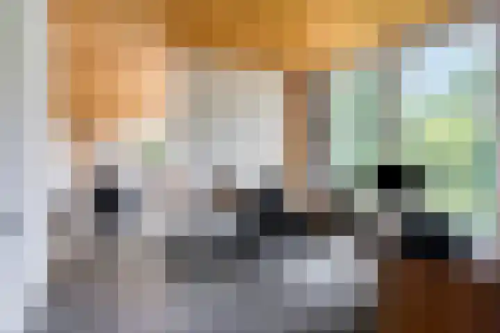 Erasmuslaan 9 Eindhoven thumbnail 10
