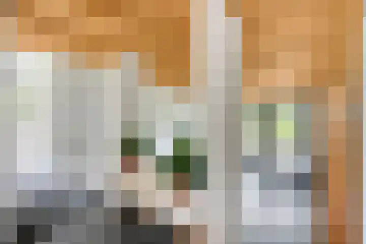 Erasmuslaan 9 Eindhoven thumbnail 11