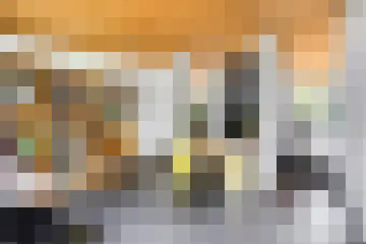 Erasmuslaan 9 Eindhoven thumbnail 13