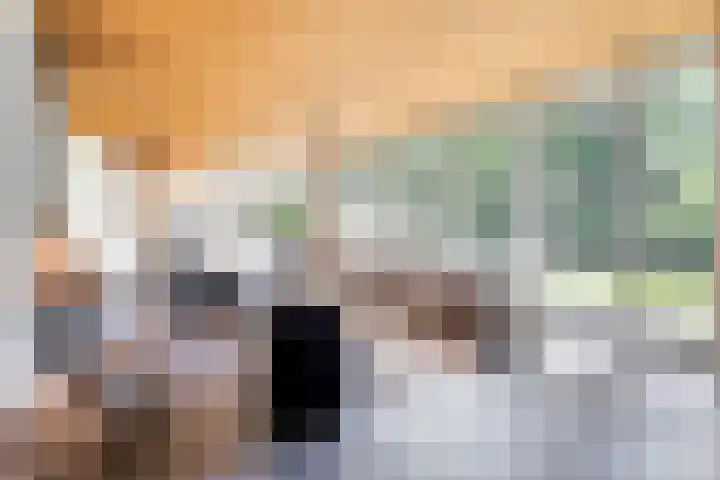 Erasmuslaan 9 Eindhoven thumbnail 14
